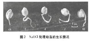 �D2 NOCL̎����������L��r