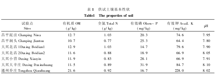 ��ԇ���������Ԡ�