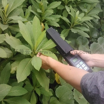 �ֳֻ��w�~��e�y(c��)��?j��)x